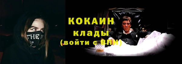 трава Дмитриев