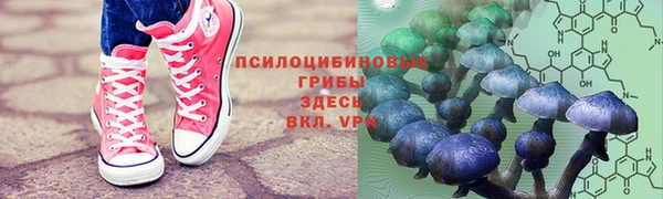 дживик Алзамай