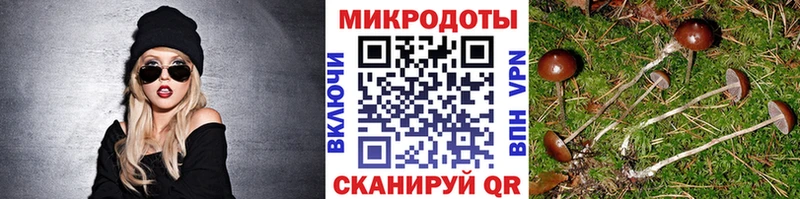 сколько стоит  гидра   Галлюциногенные грибы прущие грибы  Ялта 